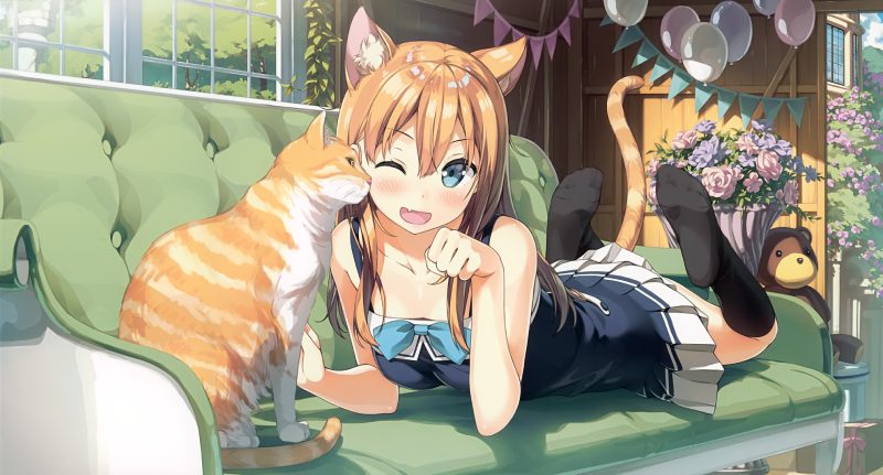 mèo anime 41