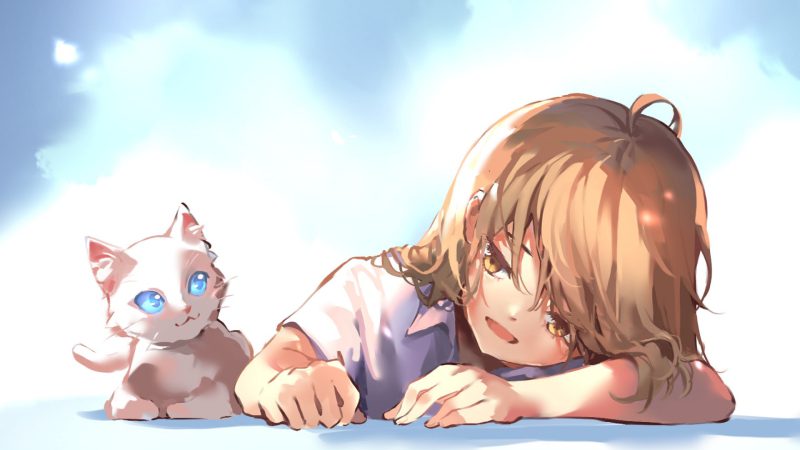 mèo anime 42