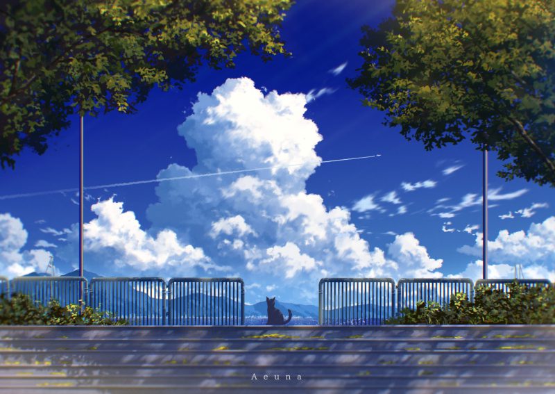 mèo anime 44