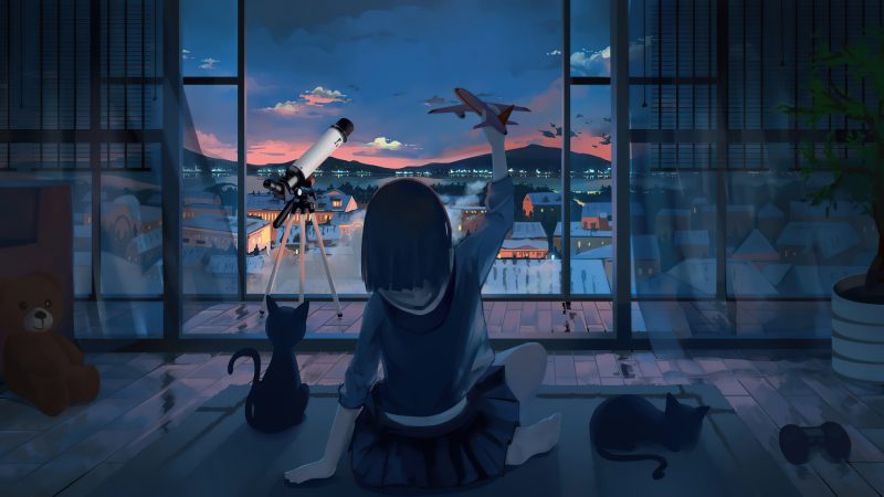 mèo anime 22