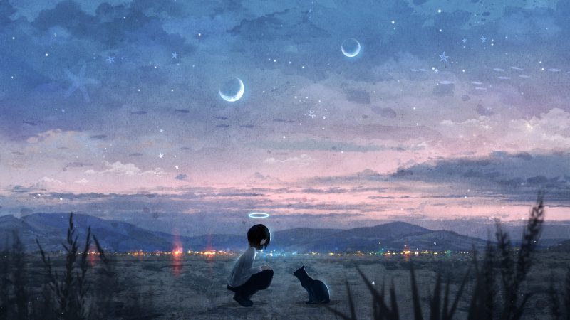 mèo anime 28