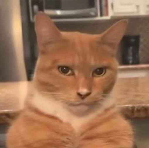 Mewing Meme 4