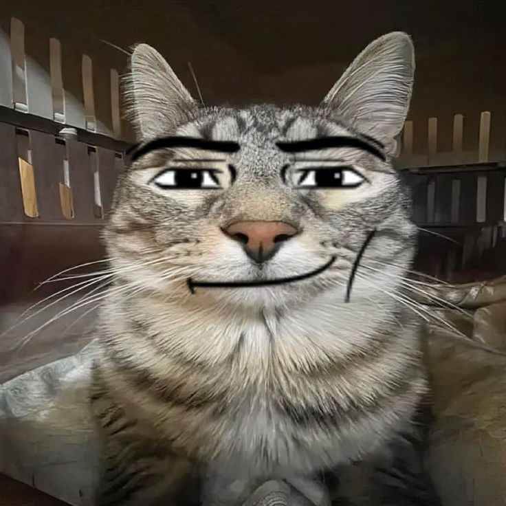 Mewing Meme 14
