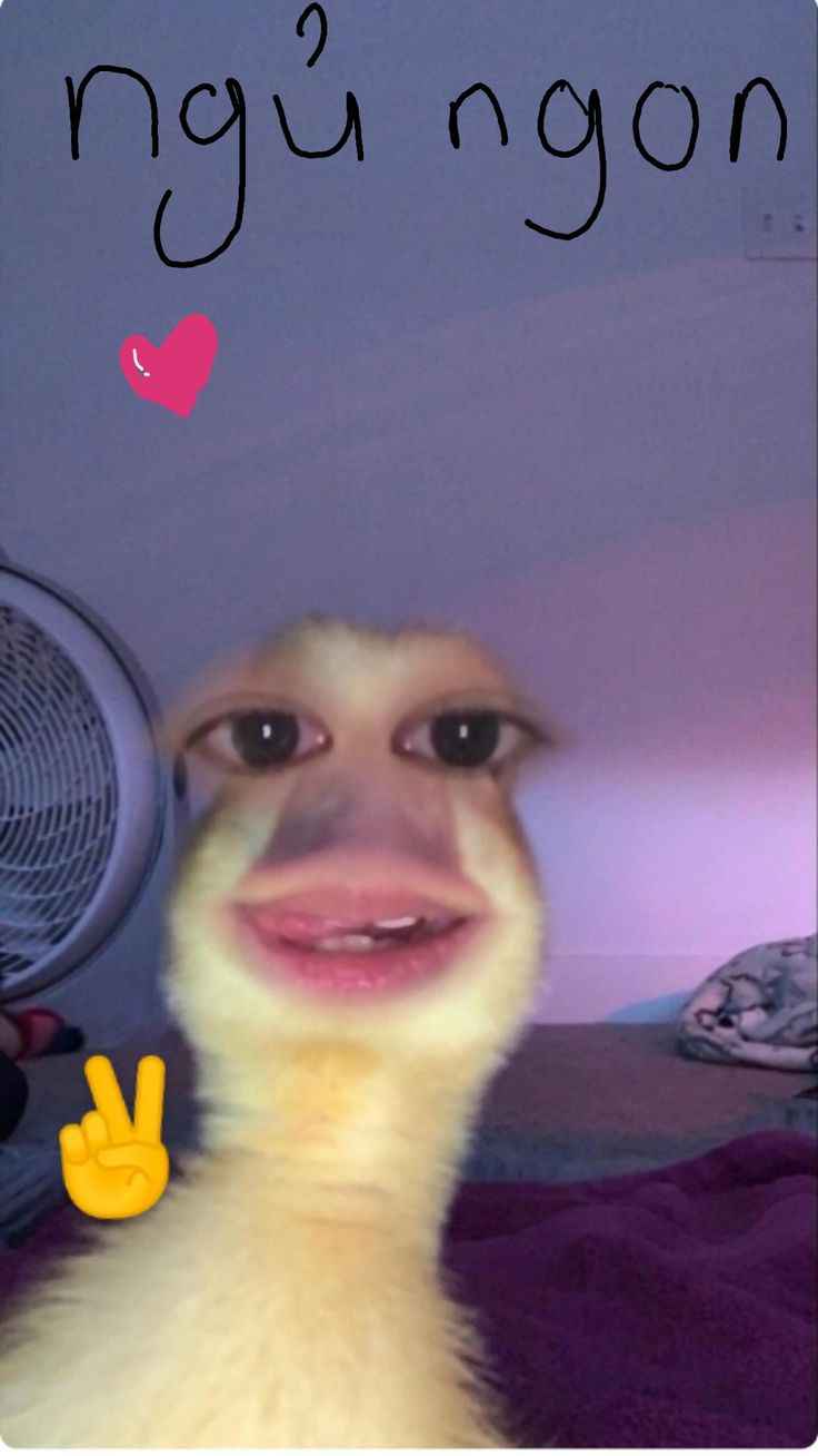Ngủ Ngon Meme 7