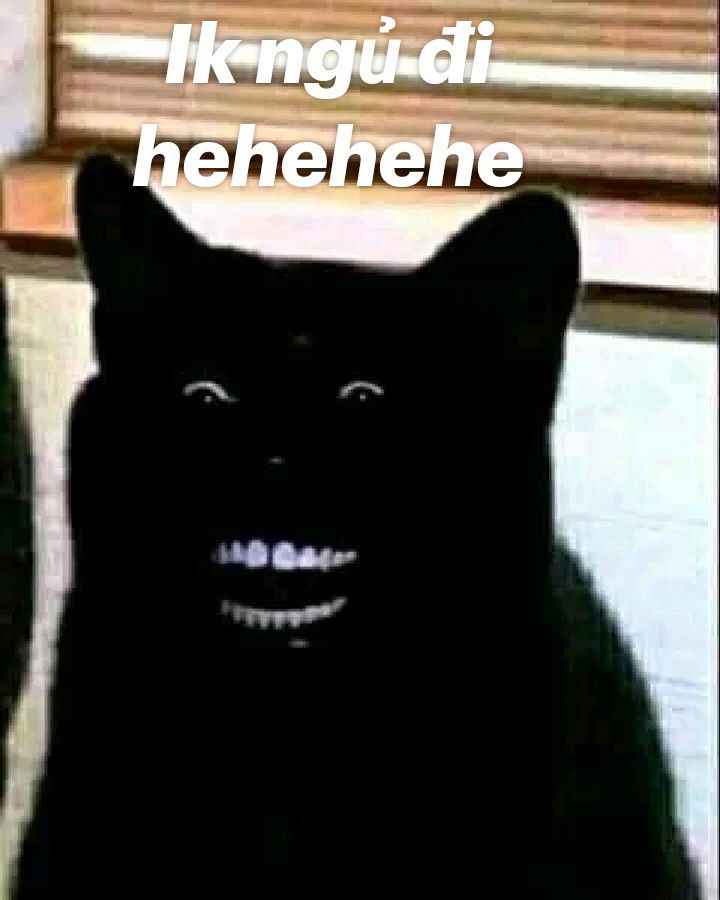 Ngủ Ngon Meme 10