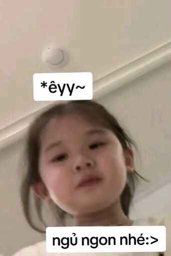 Ngủ Ngon Meme 11
