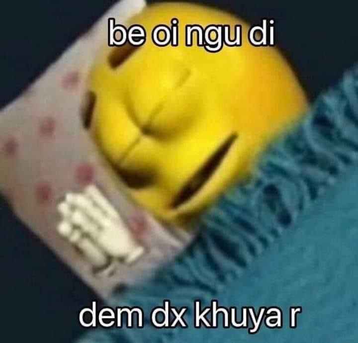 Ngủ Ngon Meme 16