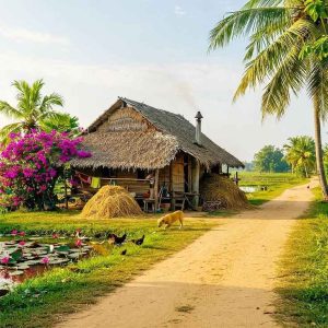 179+ Hình Ảnh Phong Cảnh Quê Hương Tuyệt Đẹp: Nét Đẹp Bình Dị, Cuốn Hút