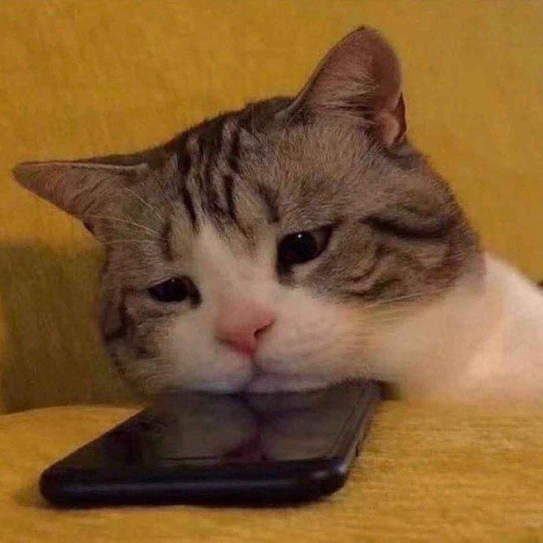 Sad meme 11