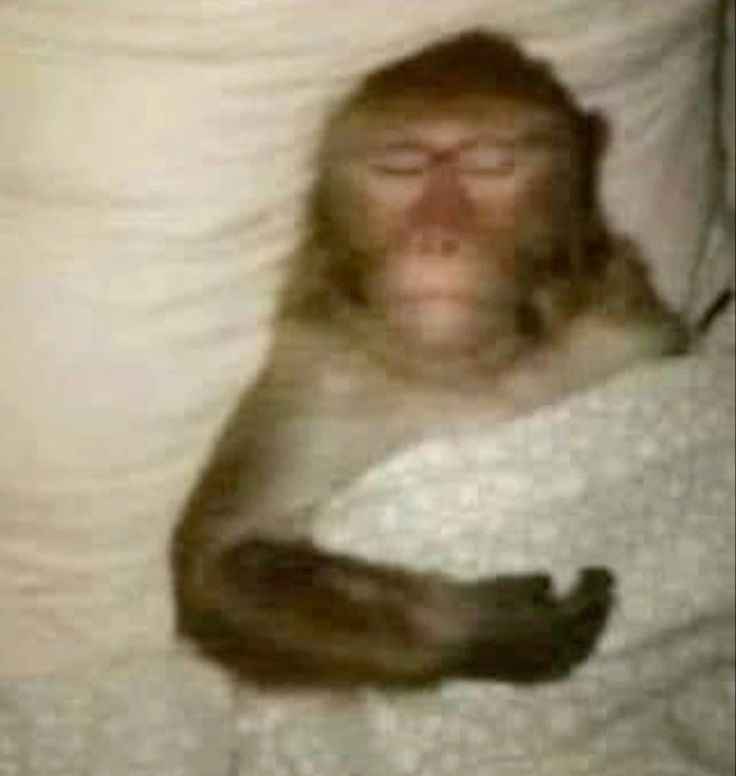 Sleep Meme 8
