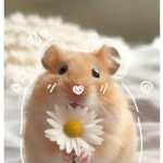 99+ Hình Nền Cute Đáng Yêu Vạn Người Mê, Tải Ngay Kẻo Lỡ!