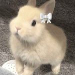 119+ Hình Nền Cute Đốn Tim, Biến Màn Hình Điện Thoại Của Bạn Thêm Sắc Màu!