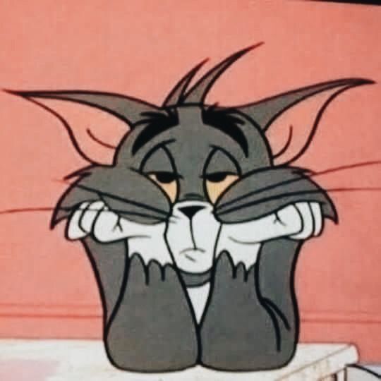 Tom Meme 27