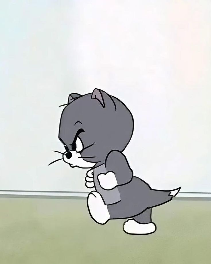 Tom Meme 24