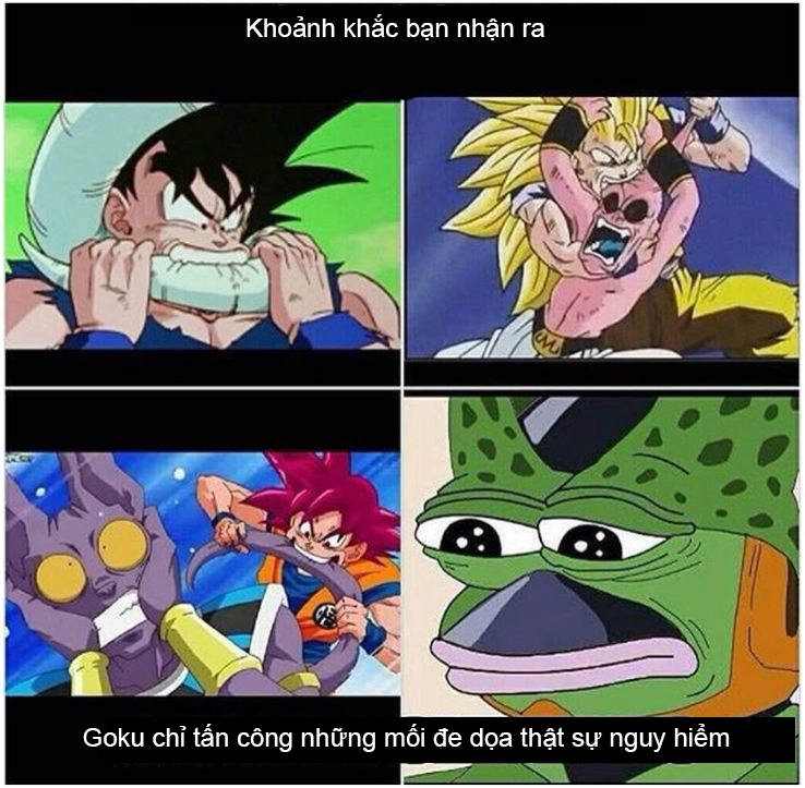 ảnh Goku meme 8