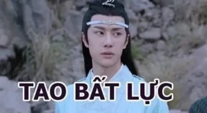 119+ Ảnh Meme Bất Lực Cực Hài Hước Khiến Bạn Cười Ra Nước Mắt