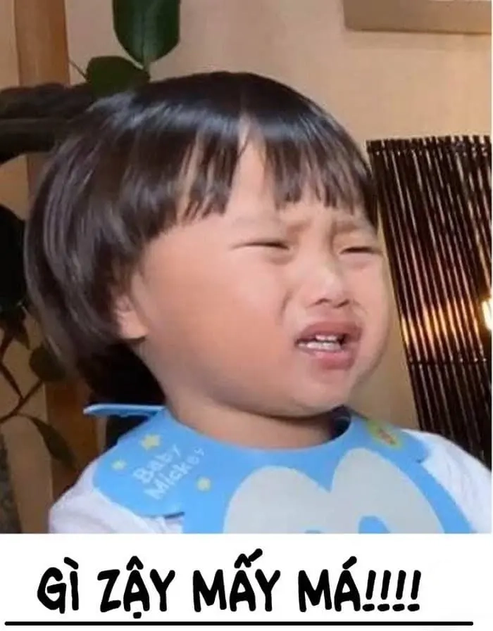 ảnh meme bất lực 4