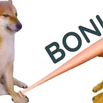 Tổng Hợp 99+ Ảnh Meme Đánh Cực Hot, Đảm Bảo Cười Ra Nước Mắt