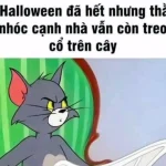 119+ Ảnh Meme Dark Hài Hước, Cười Ra Nước Mắt Mà Bạn Không Thể Bỏ Lỡ