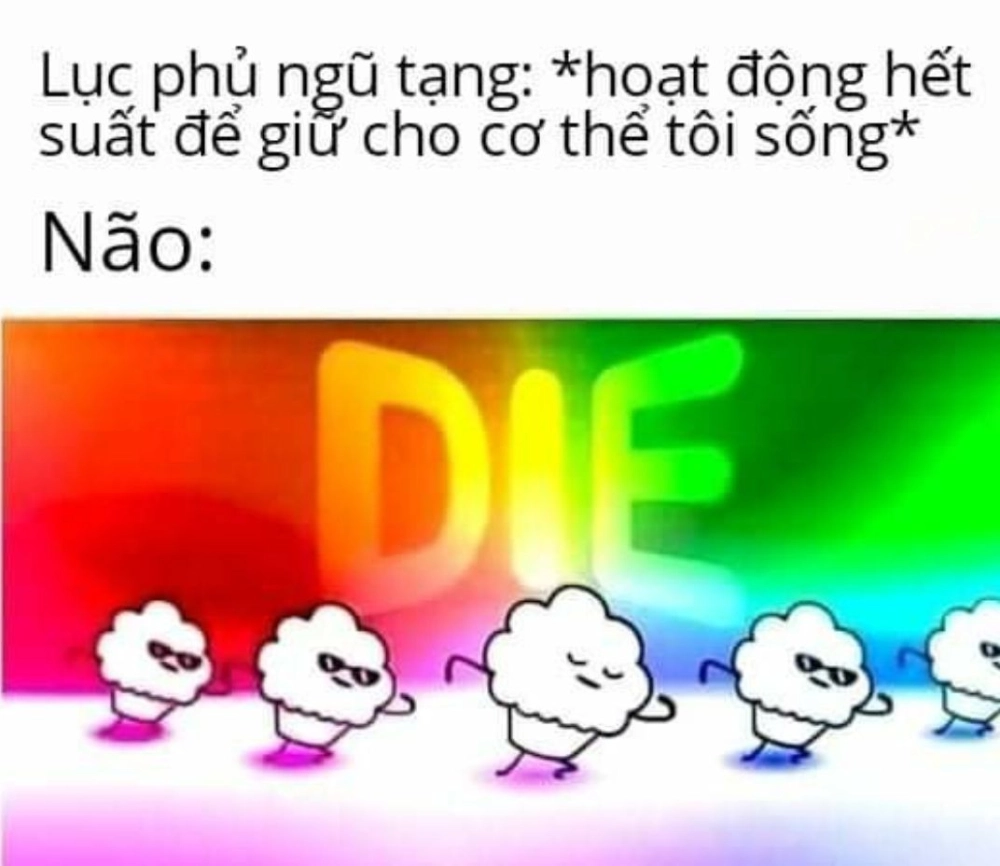 ảnh meme dark 11