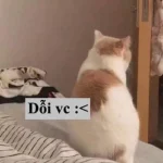 119+ ảnh meme dỗi cực đỉnh, cười thả ga không ngớt