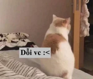 119+ ảnh meme dỗi cực đỉnh, cười thả ga không ngớt
