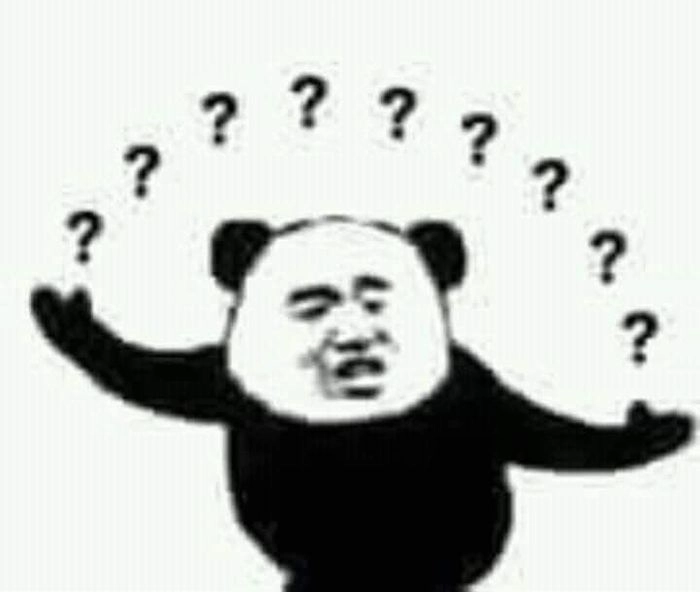 ảnh meme gấu 5