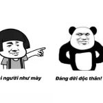 109+ Ảnh Meme Gấu Cực Hài Hước Khiến Bạn Cười Không Ngớt