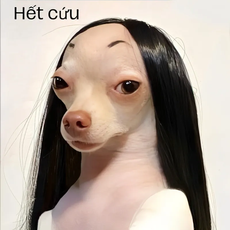 Ảnh meme hết cứu 6