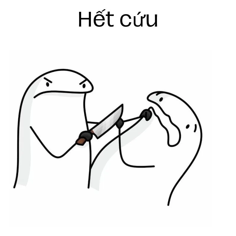 Ảnh meme hết cứu 1