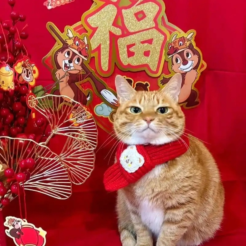 meme Tết vui nhộn 22