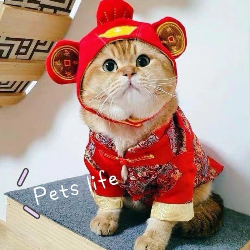 meme Tết vui nhộn 17