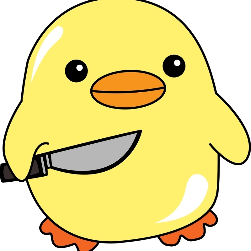 meme vịt hài hước 1