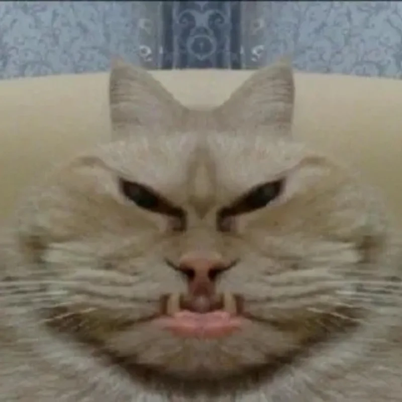 ảnh chế meme mèo bựa 24