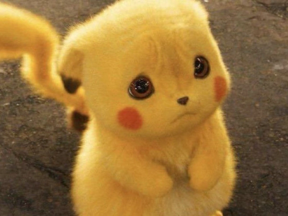 ảnh Pikachu meme 3