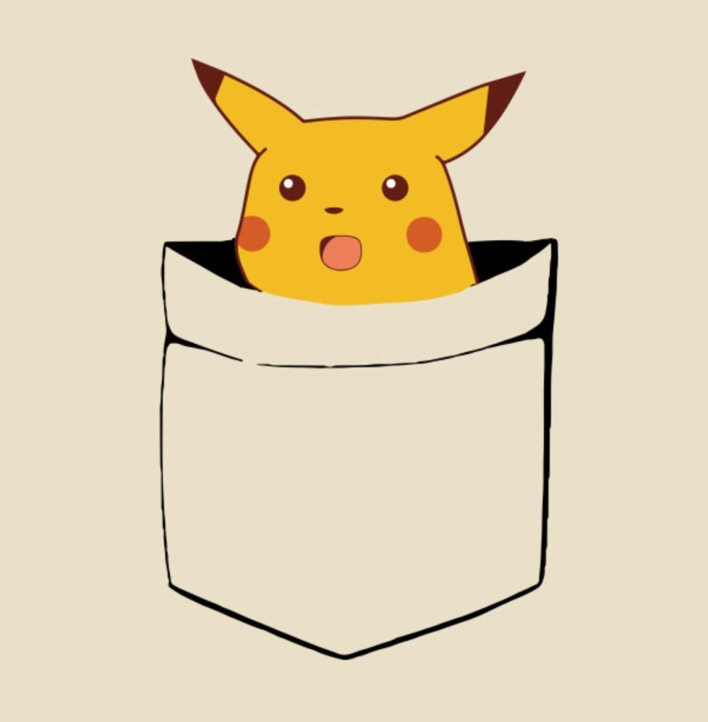 ảnh Pikachu meme 11