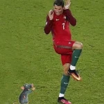 Tổng hợp 119+ Ảnh Ronaldo Meme Khiến Bạn Cười Nghiêng Ngả