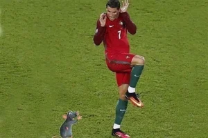 Tổng hợp 119+ Ảnh Ronaldo Meme Khiến Bạn Cười Nghiêng Ngả