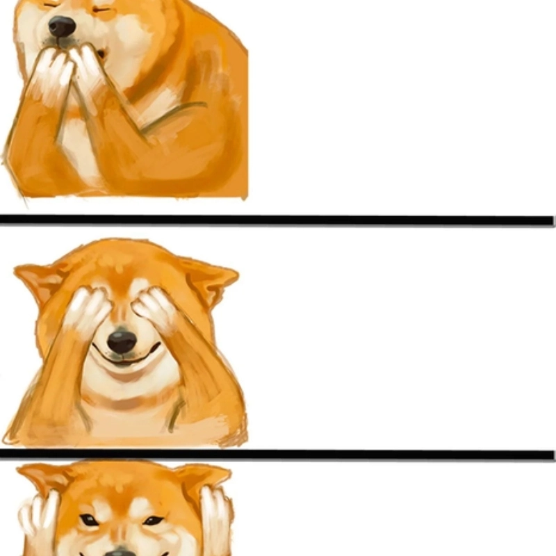 meme ảnh chế 39