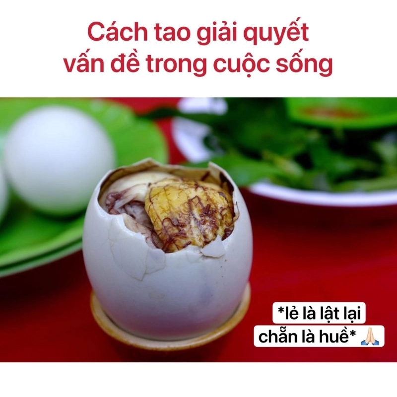 meme vịt 16