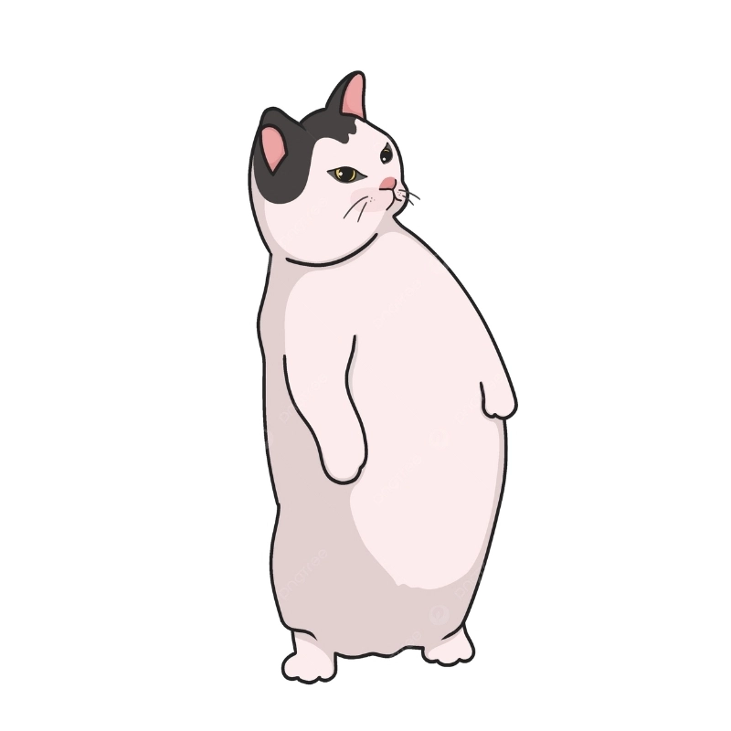 Meme mèo cute 22