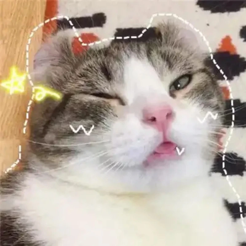 meme ảnh cute 40