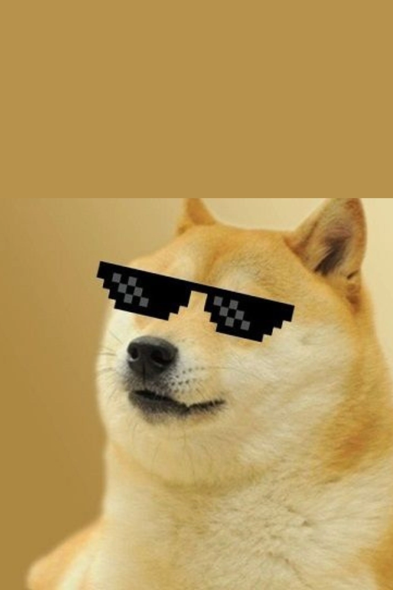 hình nền meme 14