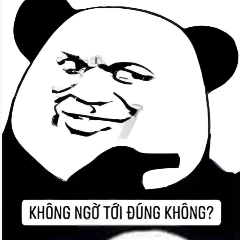meme không 17