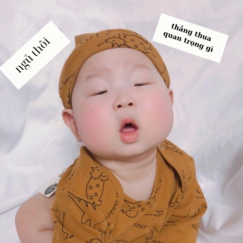 meme ngủ 17