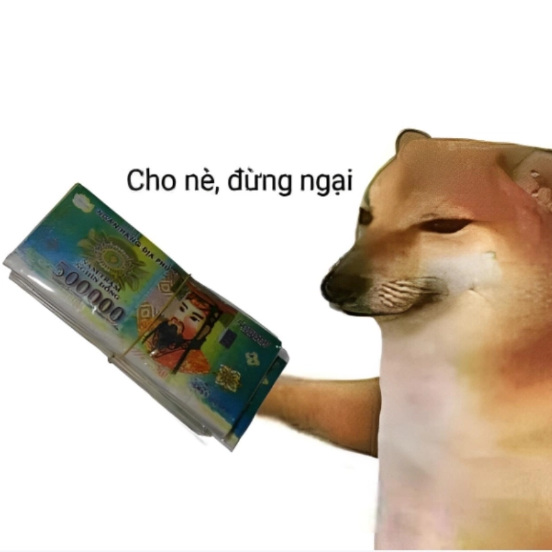 Meme hết tiền 19