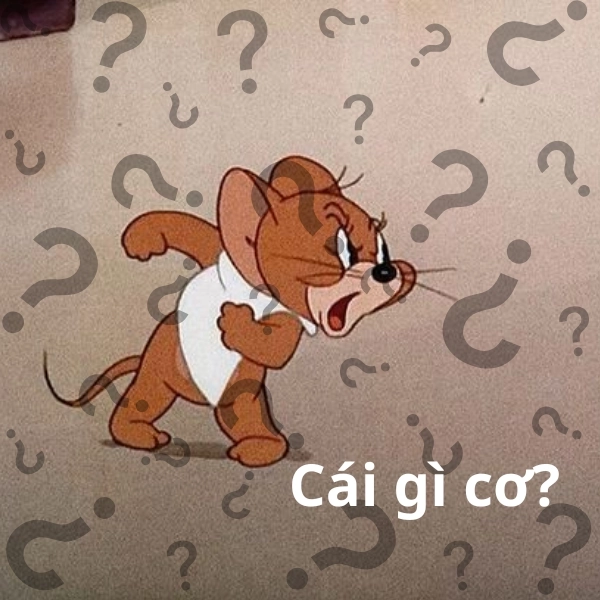 ảnh meme hỏi chấm 2