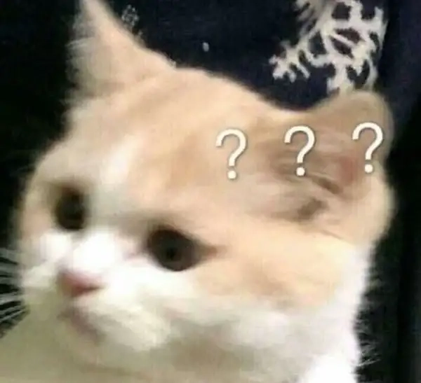 ảnh meme hỏi chấm 5