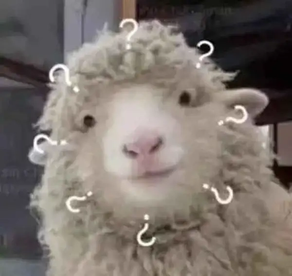 ảnh meme hỏi chấm 10