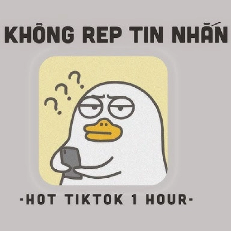 ảnh meme Không 14